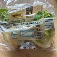 Mini-Romanasalat 2GB